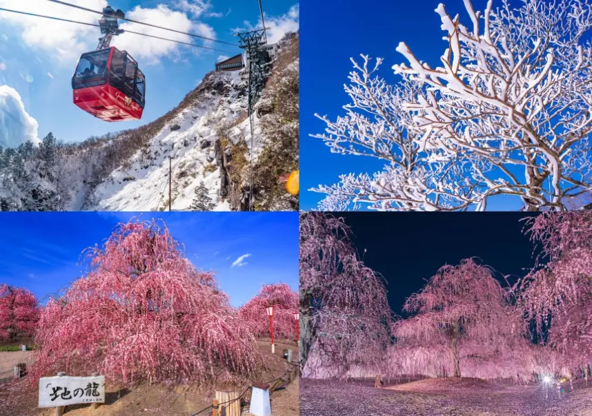 名古屋冬季旅遊 名古屋冬季旅遊