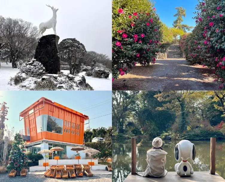 九州冬季旅遊 九州冬季旅遊