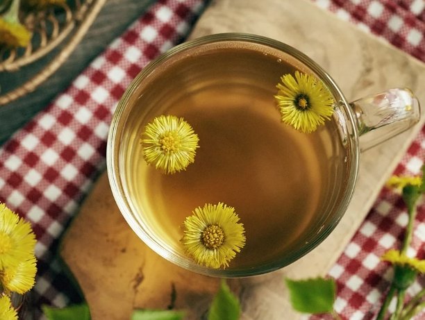 枸杞菊花茶禁忌