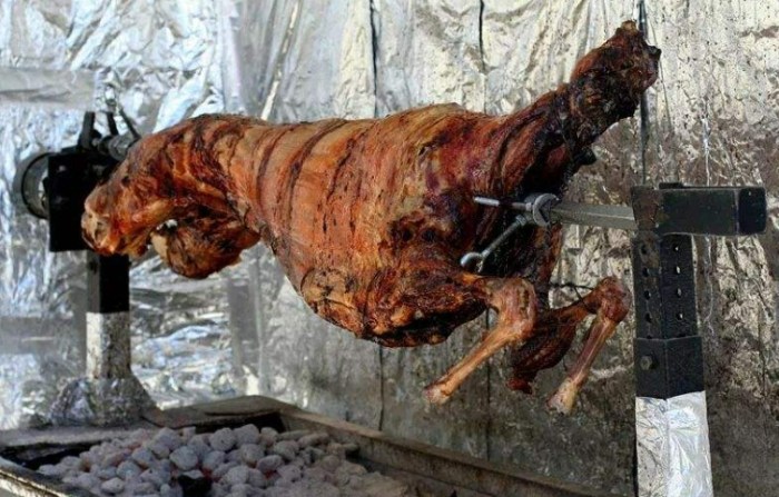 袋鼠肉料理 袋鼠肉料理