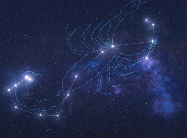 天蠍男的配對星座