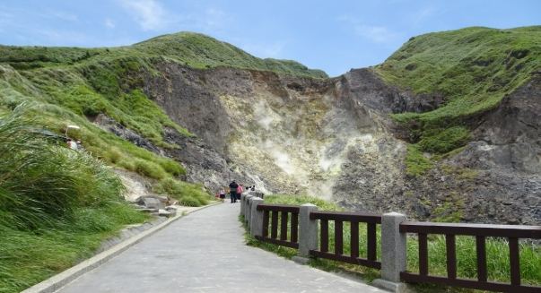 陽明山櫻花